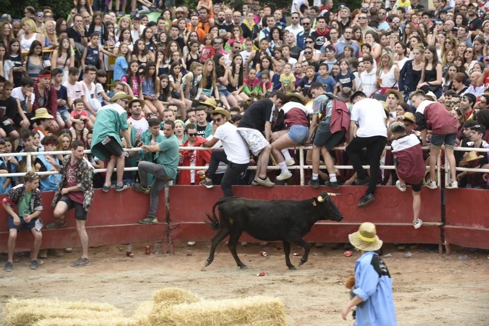 Vaquetes de Santpedor 2018