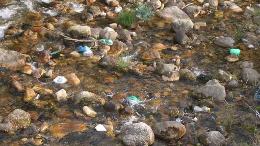 Felechosa exige a la Confederación una limpieza exhaustiva del río Aller