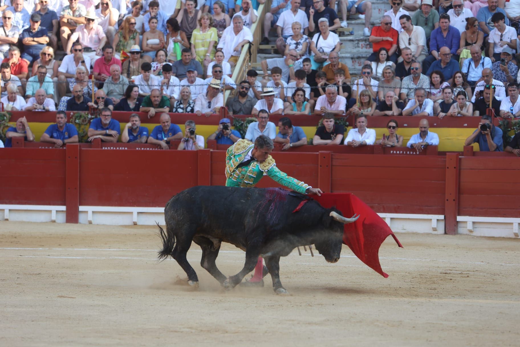 Así ha sido la tarde de Toros de Victorino Martín para Manuel Escribano, en solitario, en Alicante