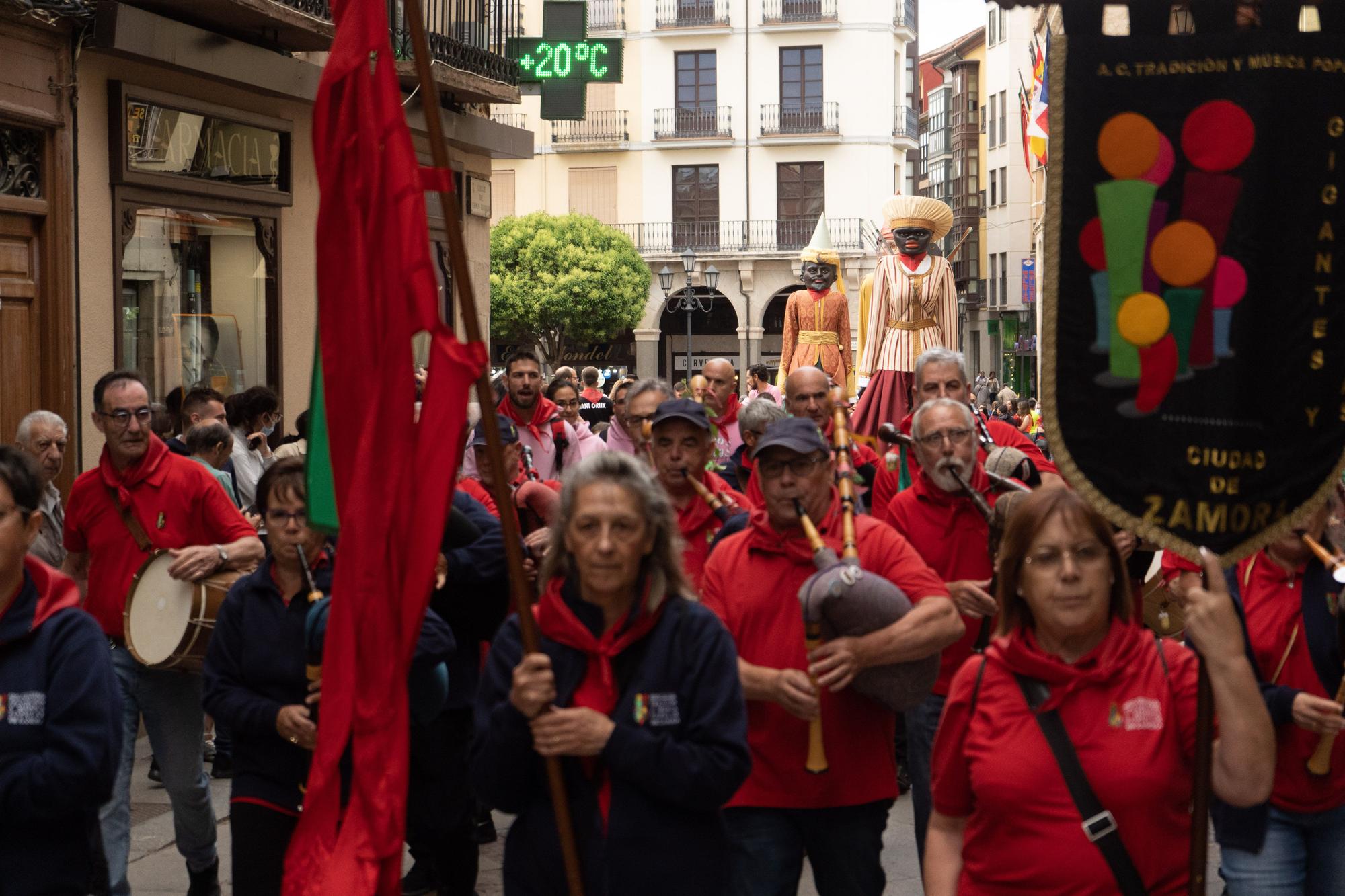 GALERÍA | Las peñas y San Pedro reinan en Zamora