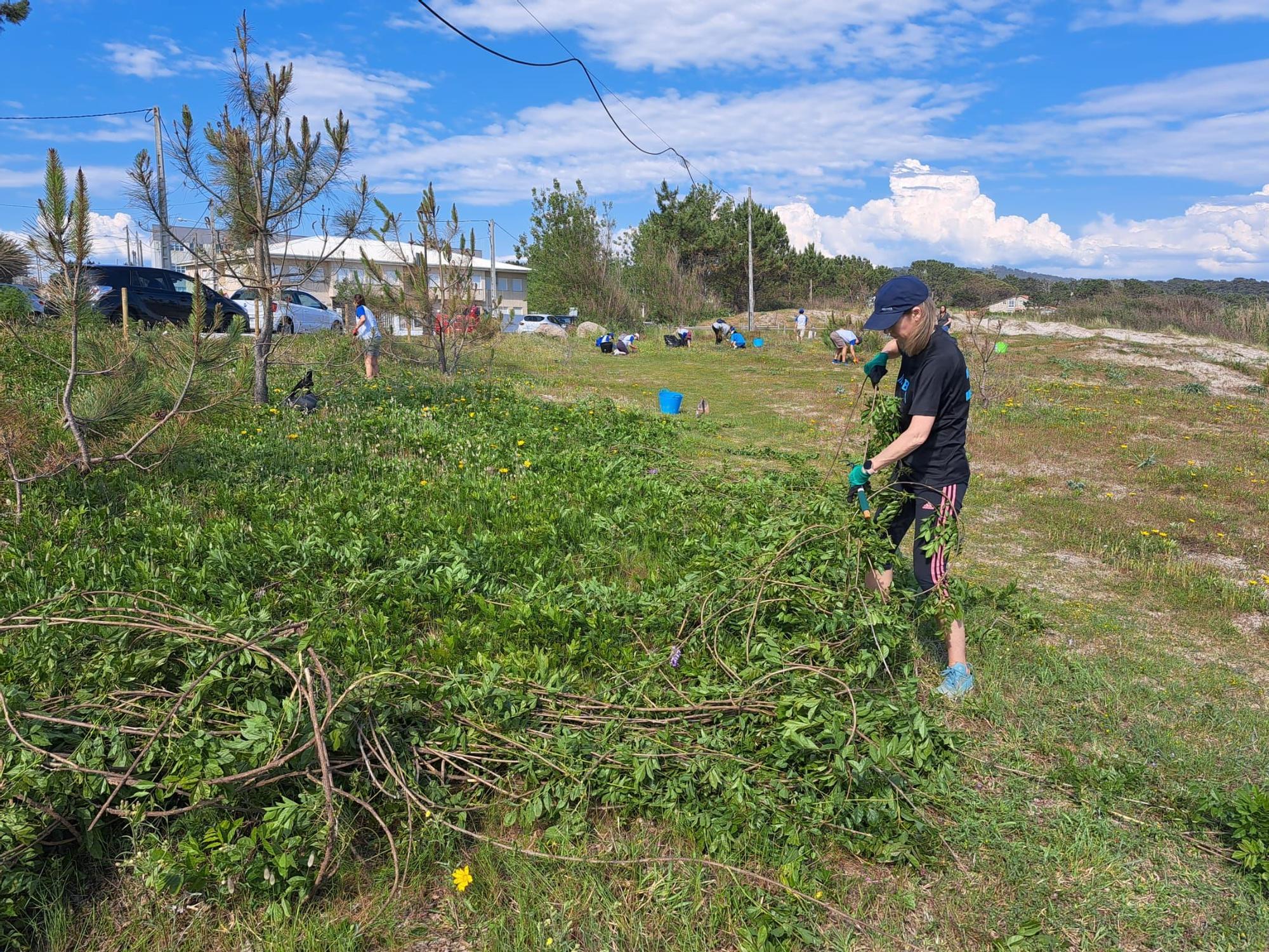 Una soleada tarde para salvar Area da Cruz con Plancton