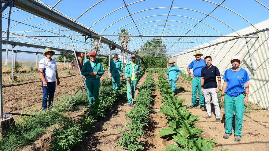 Productos de la huerta en Plasencia gracias a Placeat