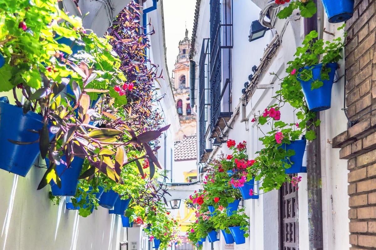 Calleja de las flores - Córdoba