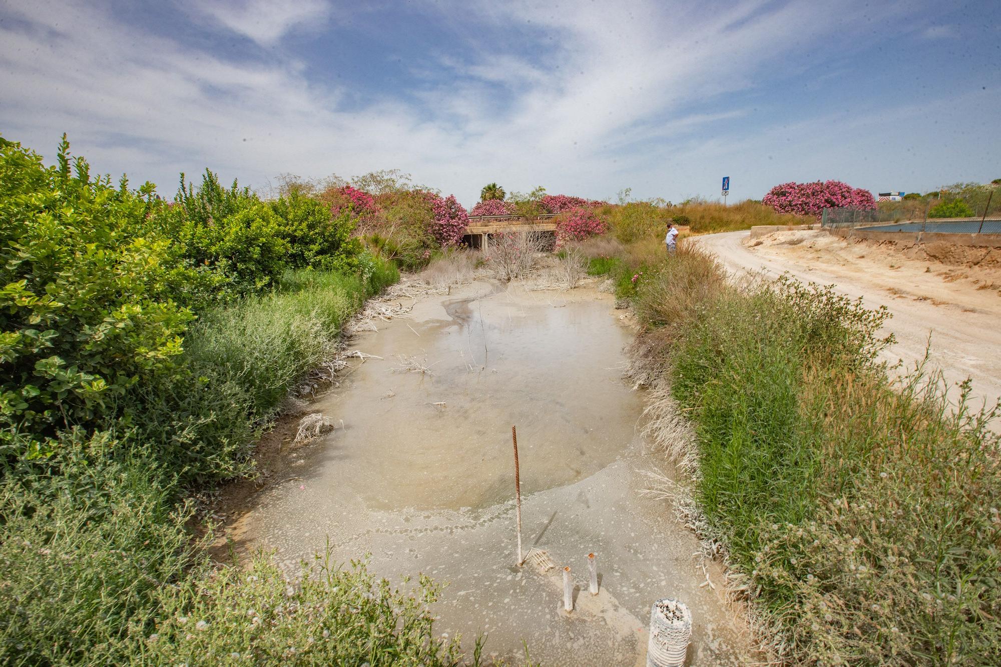 El agua de drenajes agrícolas con fertilizantes del Campo de Salinas desborda las fincas y llega a la laguna de Torrevieja