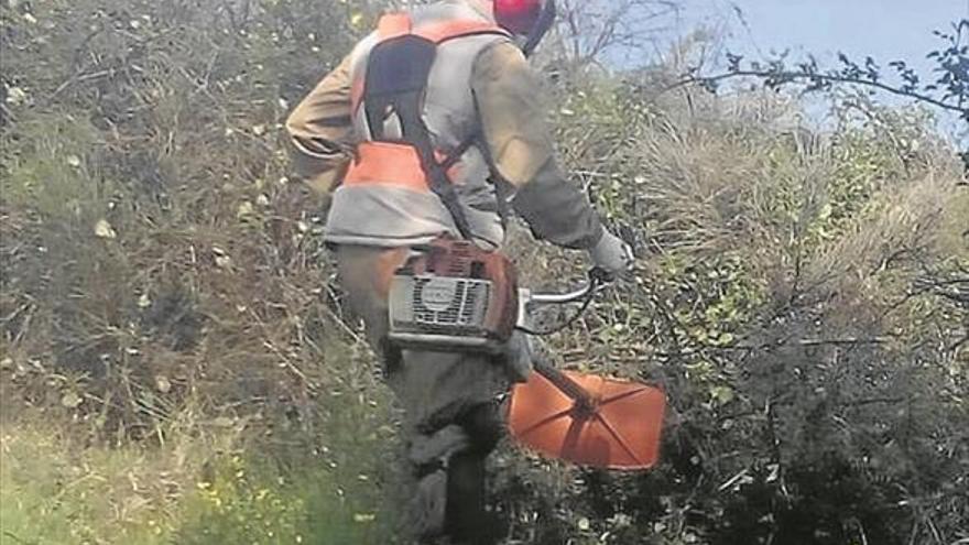 Cáritas facilita formación a 15 alumnos en la mejora y conservación de montes