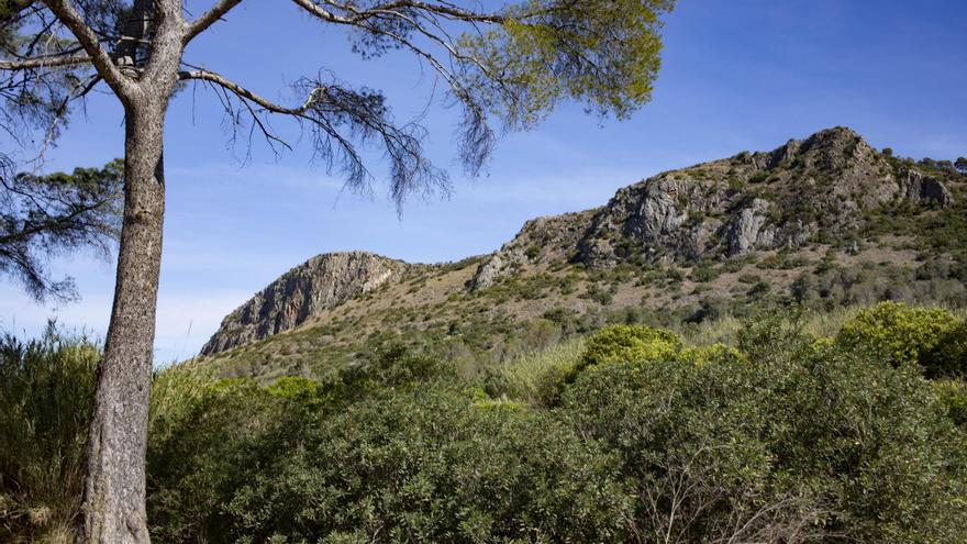 El déficit de lluvia ya alcanza el 60% en el valle de la Casella de Alzira durante 2023