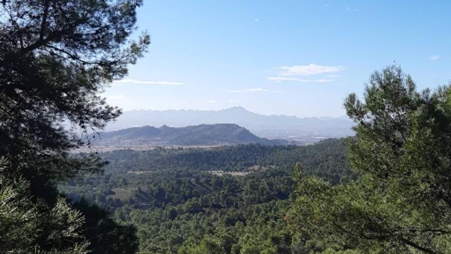 No llega a 100 vecinos, pero este pueblo de Murcia es de los sitios con más encanto del sureste para visitar en otoño