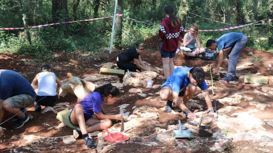 Troben eines útils en el jaciment de Roca Foradada de Fontcoberta