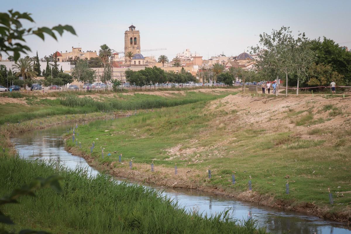 El cauce del Segura aguas arriba de Orihuela