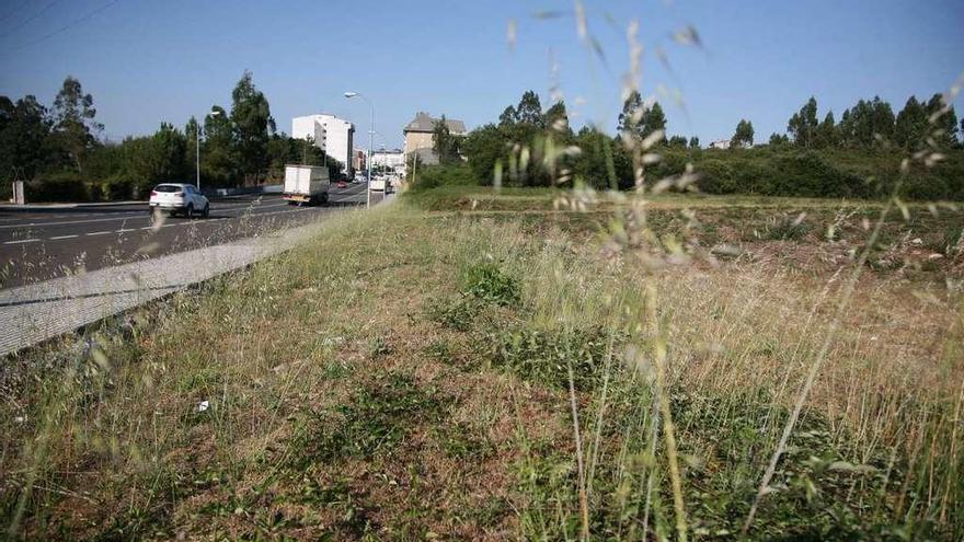 Área en la que Bogaris promueve el plan parcial que incluye la instalación de Mercadona. // Bernabé/Luismy