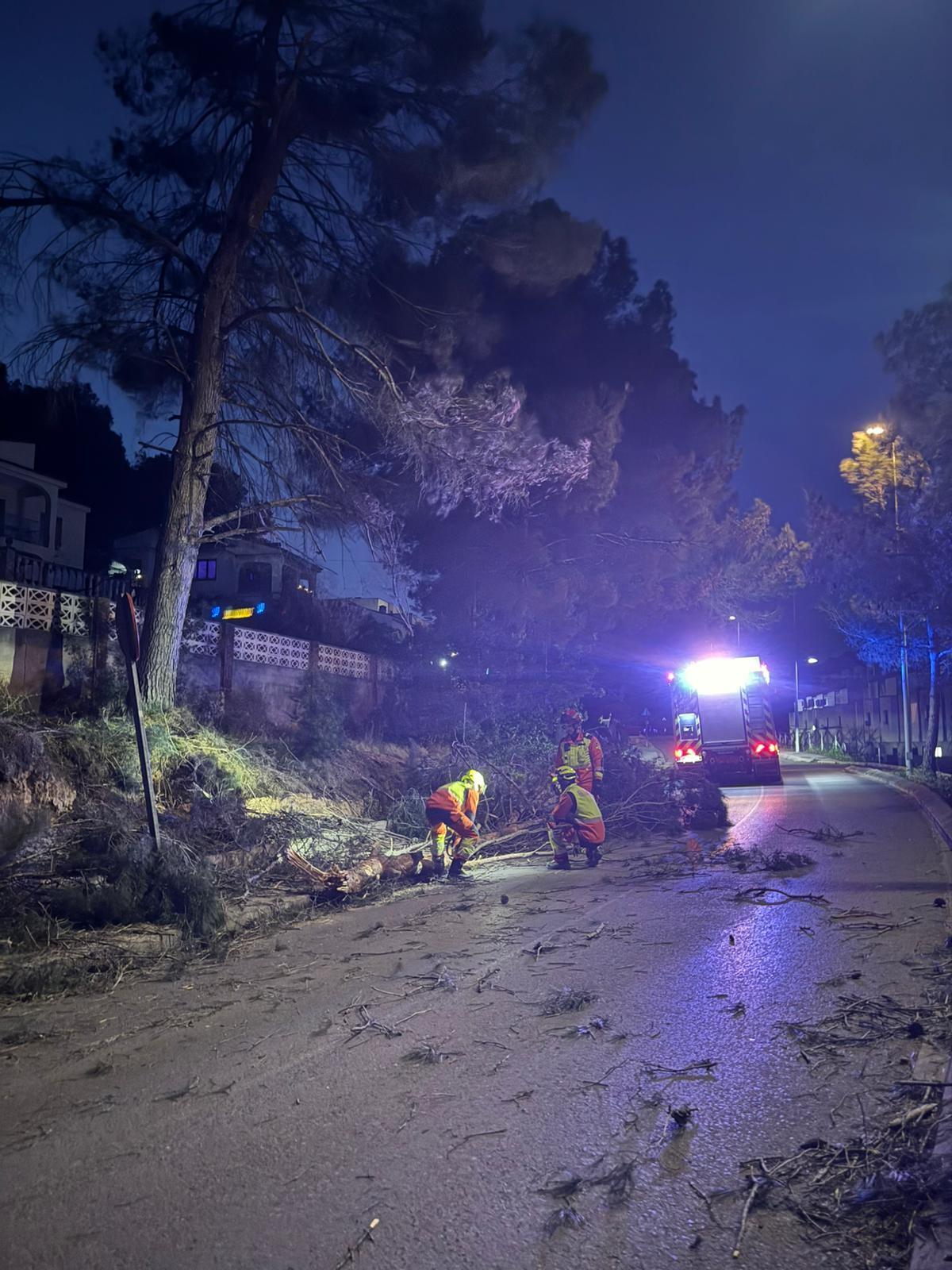 WhatsApp Image 2026-02-14 at 19.57.39