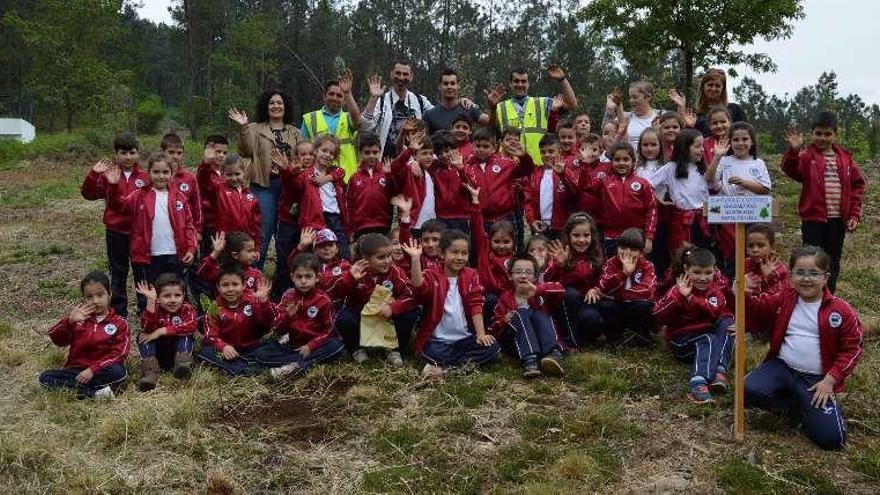 Escolares del CEIP de Atín durante la plantación de castaños. // Fdv