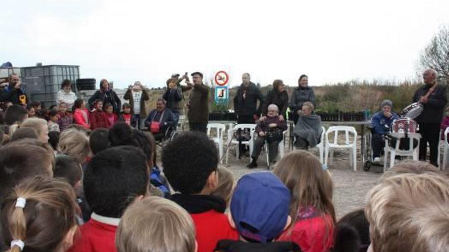 Vila-real trasplanta las carrascas de Sant Pasqual en el pinar del Termet