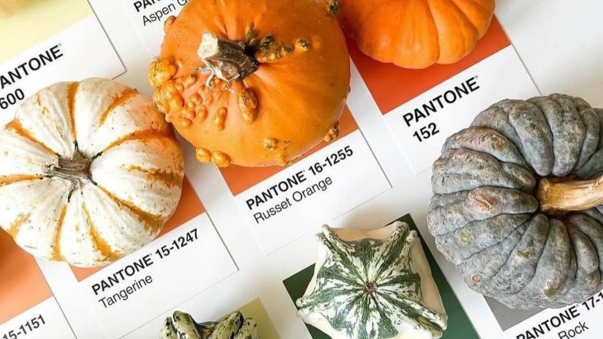 'Cloud Dancer': el color Pantone de 2026