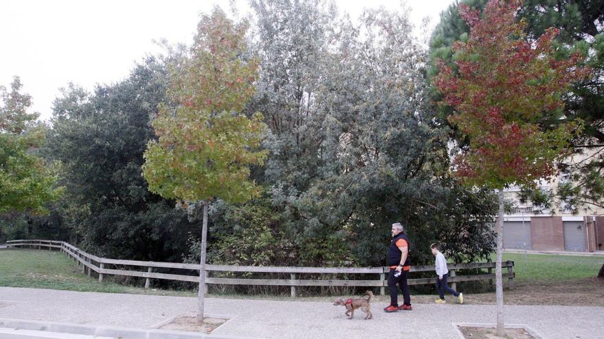 Les zones verdes poden ajudar a disminuir el risc de patir un ictus