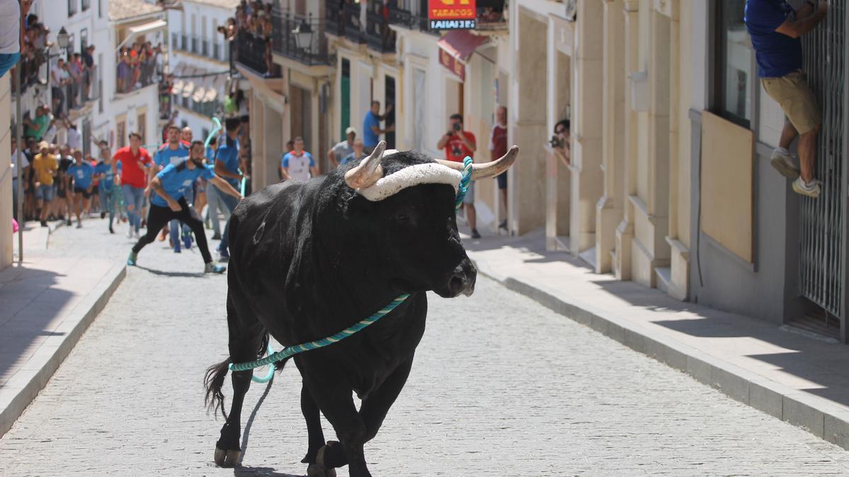 Imagen de archivo del festejo.