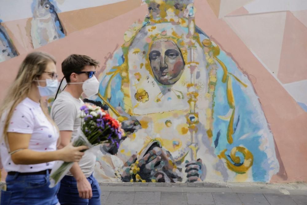 Paseos durante la celebración del Día de Canarias