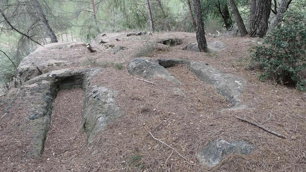 Tombes medievals de la Rovira, a Navàs.