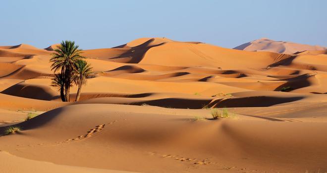 Erg Chebbi, noche oscura