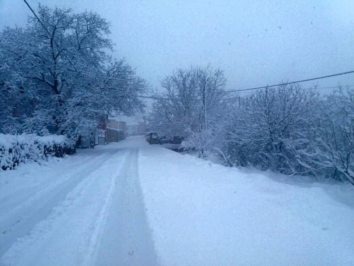 Imágenes de la espectacular nevada de hoy en Aragón