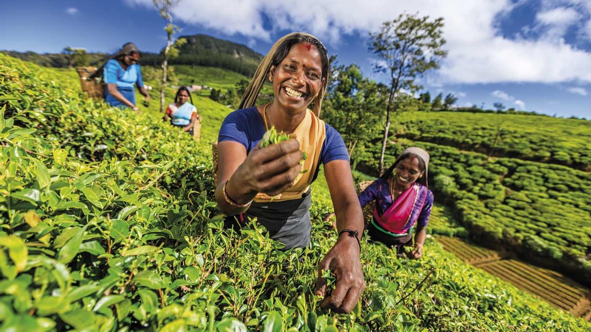 Sri Lanka, el país de la eterna amabilidad
