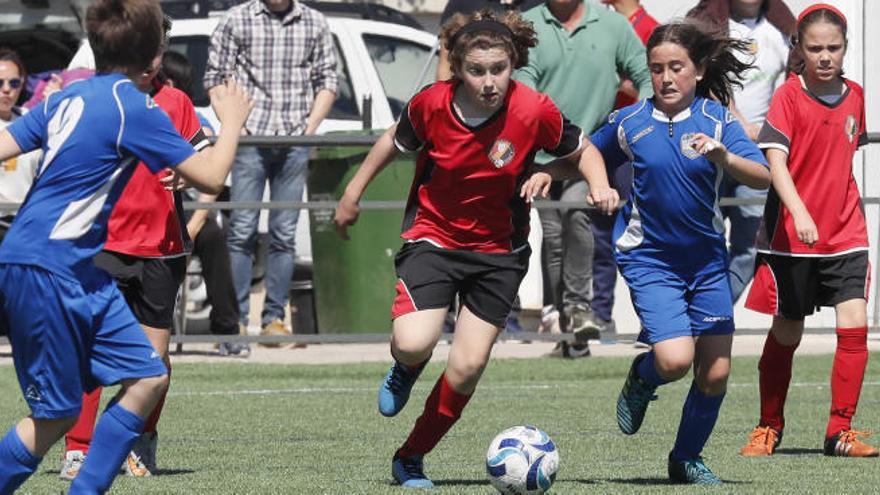 Un lance de un partido de un torneo entre niñas.