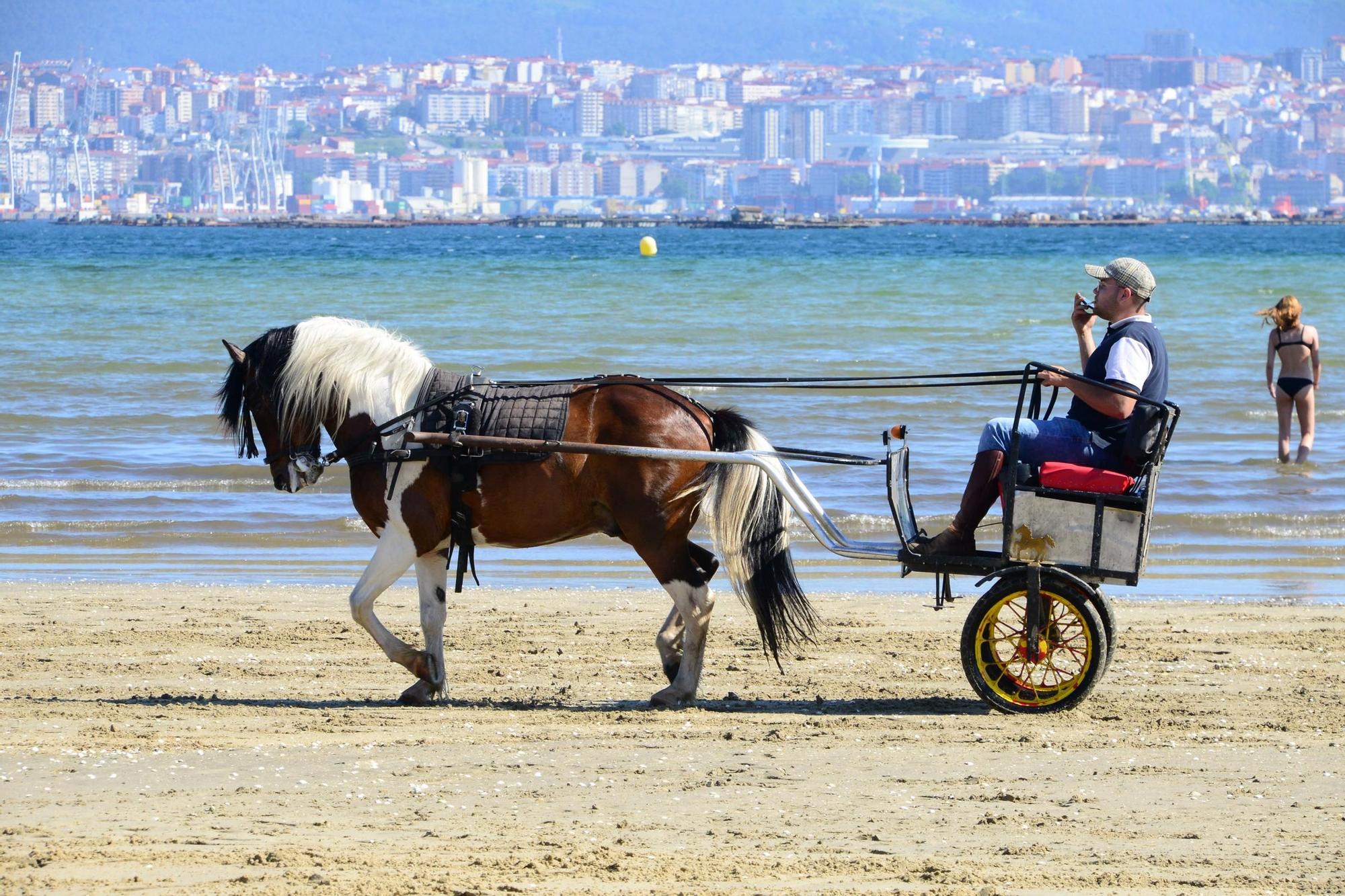 Una espectacular jornada a caballo por Moaña (I)