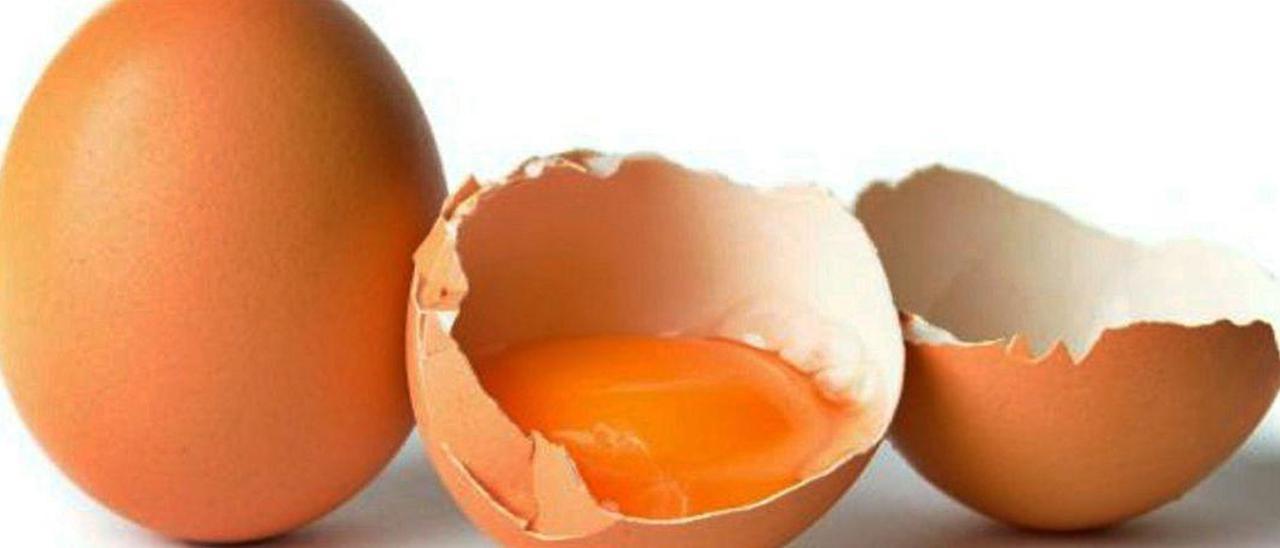 El poder oculto del huevo: la cáscara sirve para tratar aguas residuales
