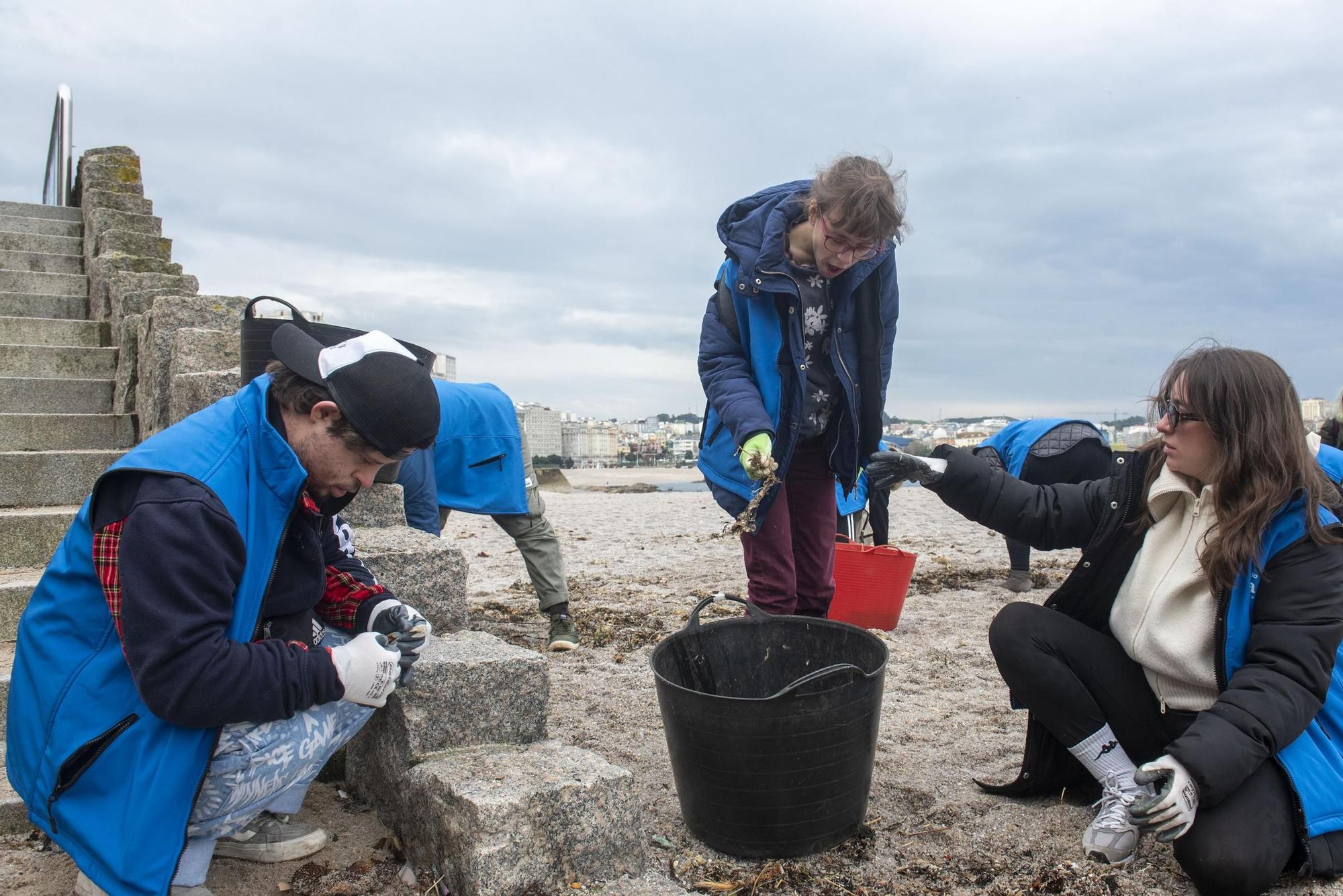 Recogida de basura marina en la playa del Orzán