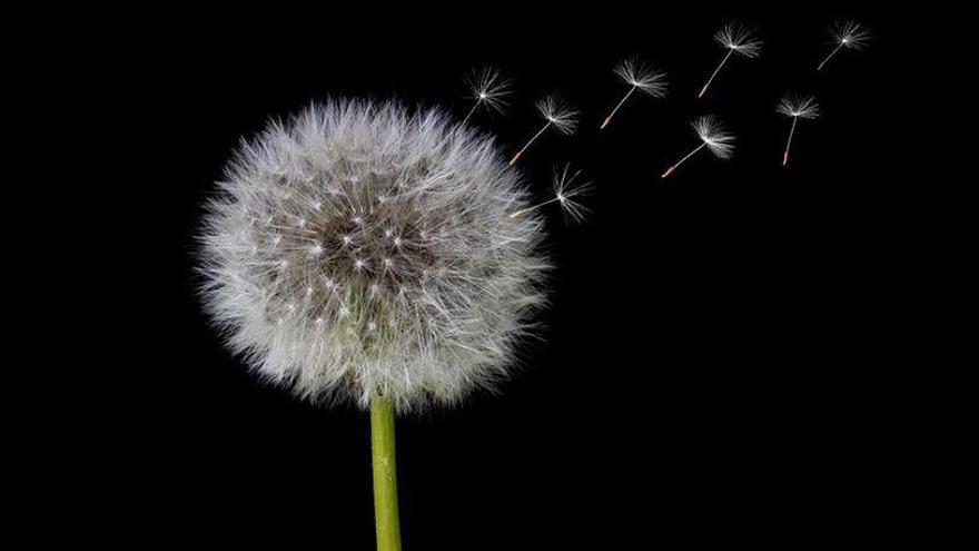 La depressió en la infància i l&#039;adolescència