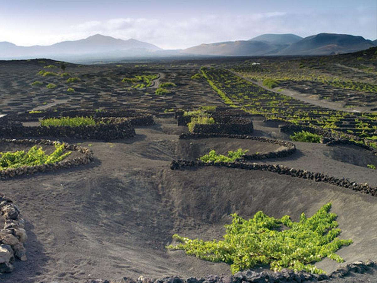 LANZAROTE | Lanzarote Wine Run: estos son los dos cortes parciales de ...