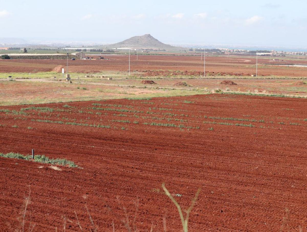 Veinte años de polémica: Novo Carthago frente a la justicia | L.O.