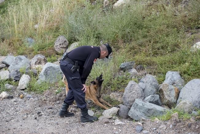 Reportaje a la Unidad Canina de la Policia ...