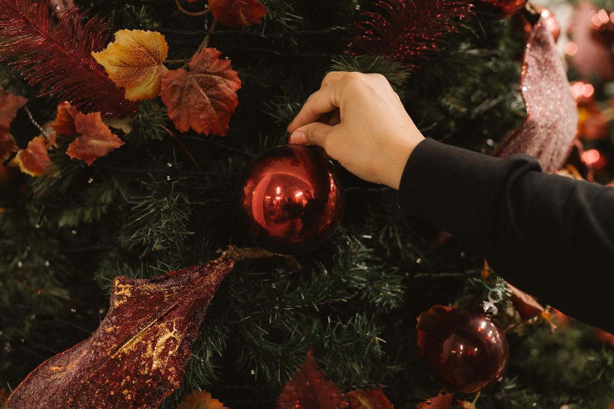 Así es el almacén de Tetuán donde se puede alquilar árboles de Navidad