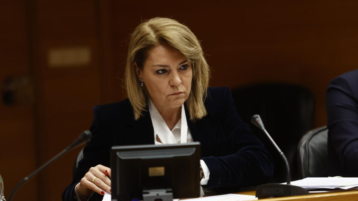 La vicepresidenta Susana Camarero, en la comparencencia de hoy.