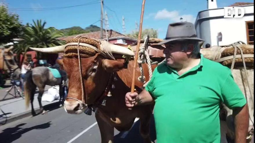 La plaza de San Marcos de Tegueste, una granja improvisada