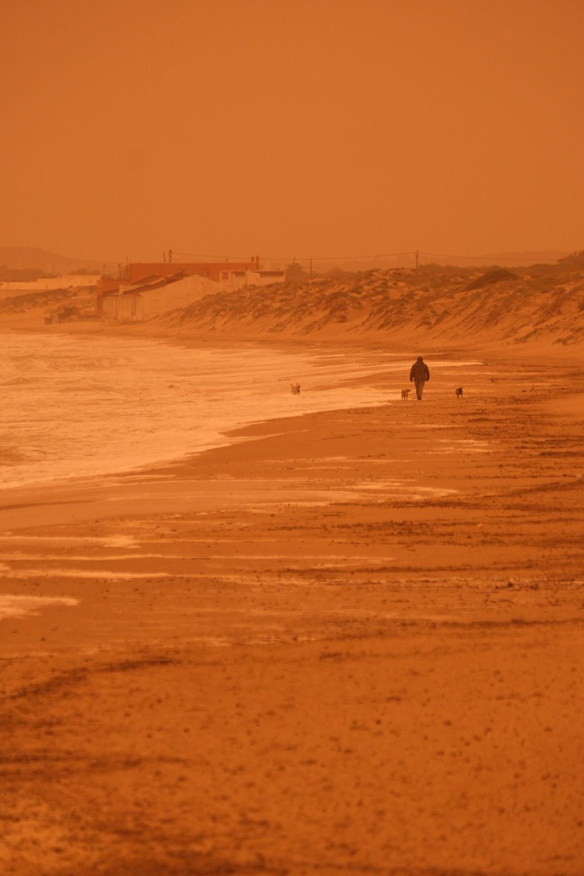 Polvo sahariano sobre La Marina