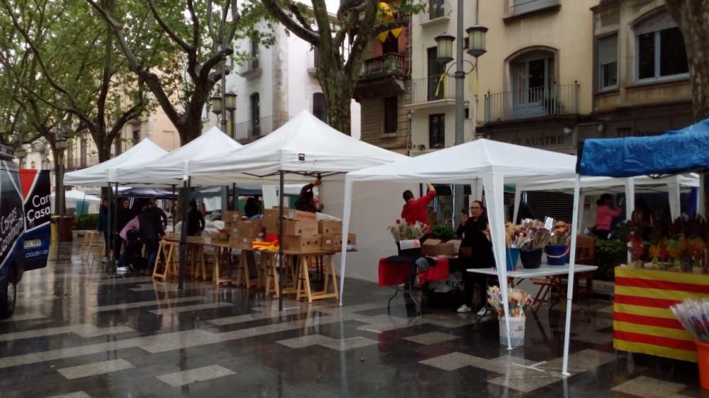 Sant Jordi marcat per la pluja a Figueres