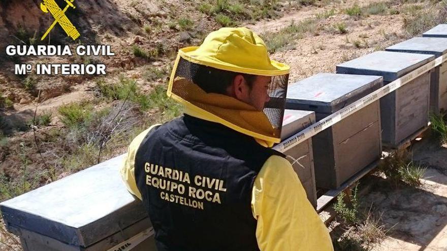Detenido por robar 40 colmenas en Castellón, Soria y Badajoz