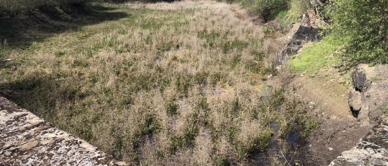 La presa de Los Genicios, en Mellanes, sin nada de agua en la actualidad. | Ch. S.