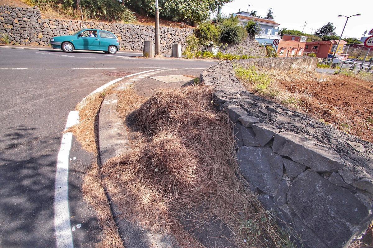 Pinocha en la carretera en el municipio de El Rosario, en una imagen de archivo