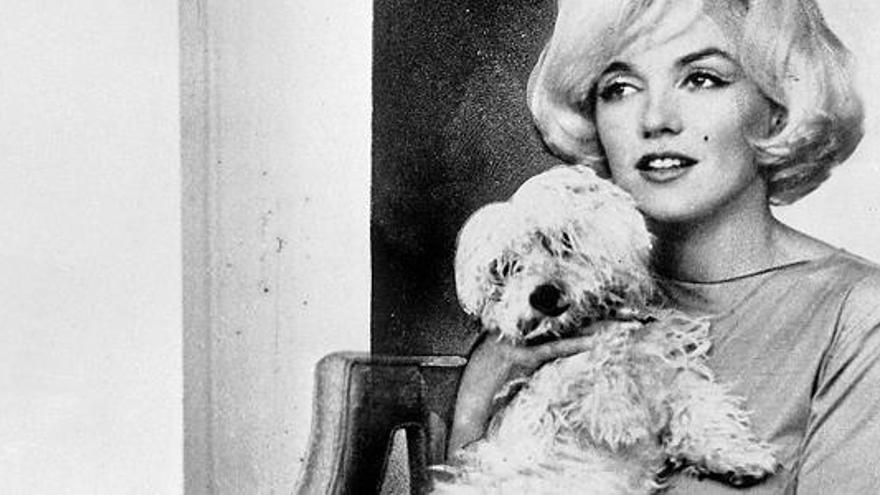 Marilyn Monroe a ojos de su perro Maf