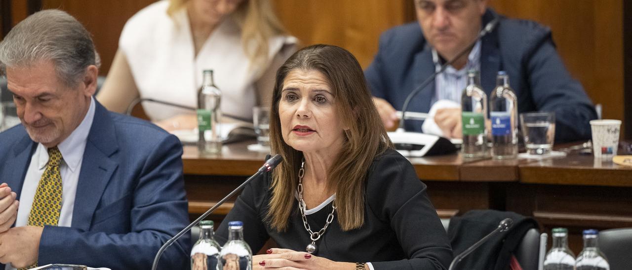 Inés Miranda, durante su explicación del contenido del PIO al Pleno del Cabildo