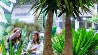 Iberflora 2023: naturaleza, tecnología y tendencias en el evento más importante del sector verde