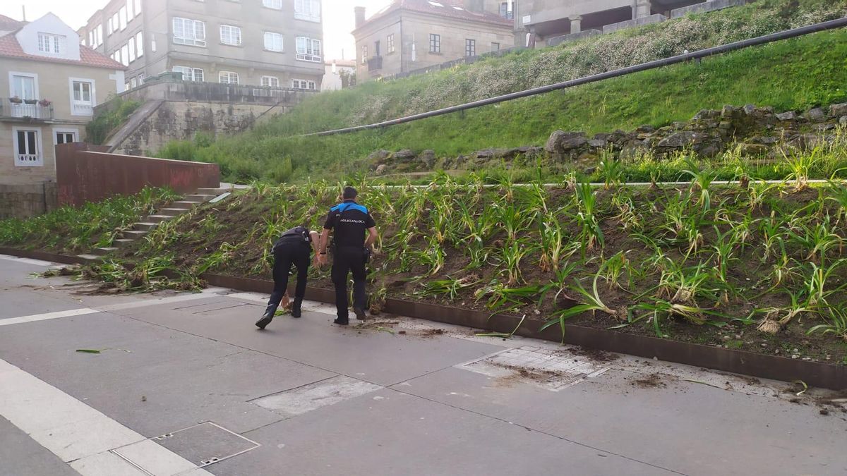 Agentes de la Policía Local inspeccionan los destrozos