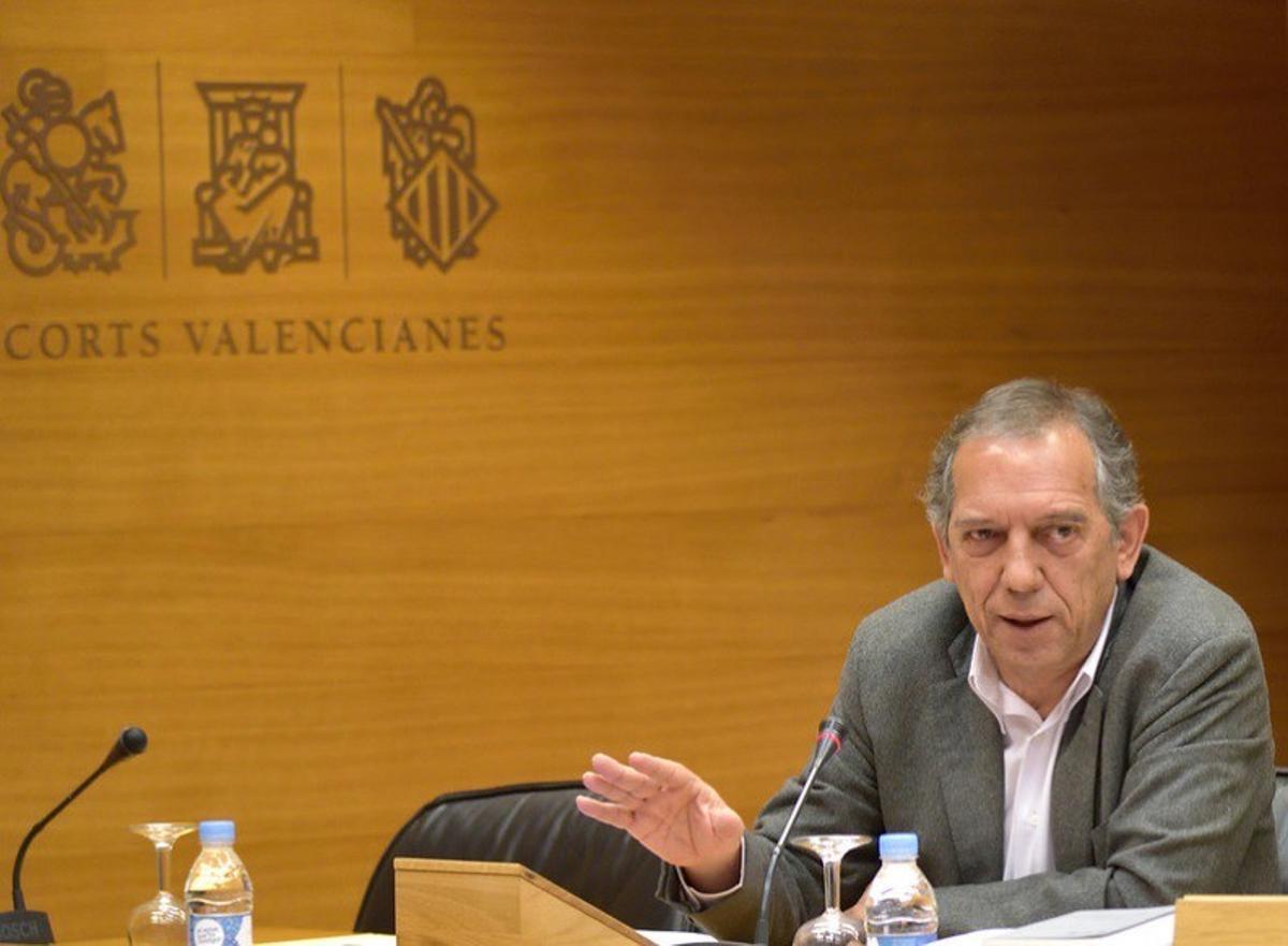 El secretario autonómico de Educación, Miguel Soler, en las Corts.