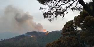 Desalojadas 13 familias de dos diseminados por el incendio en Jubrique