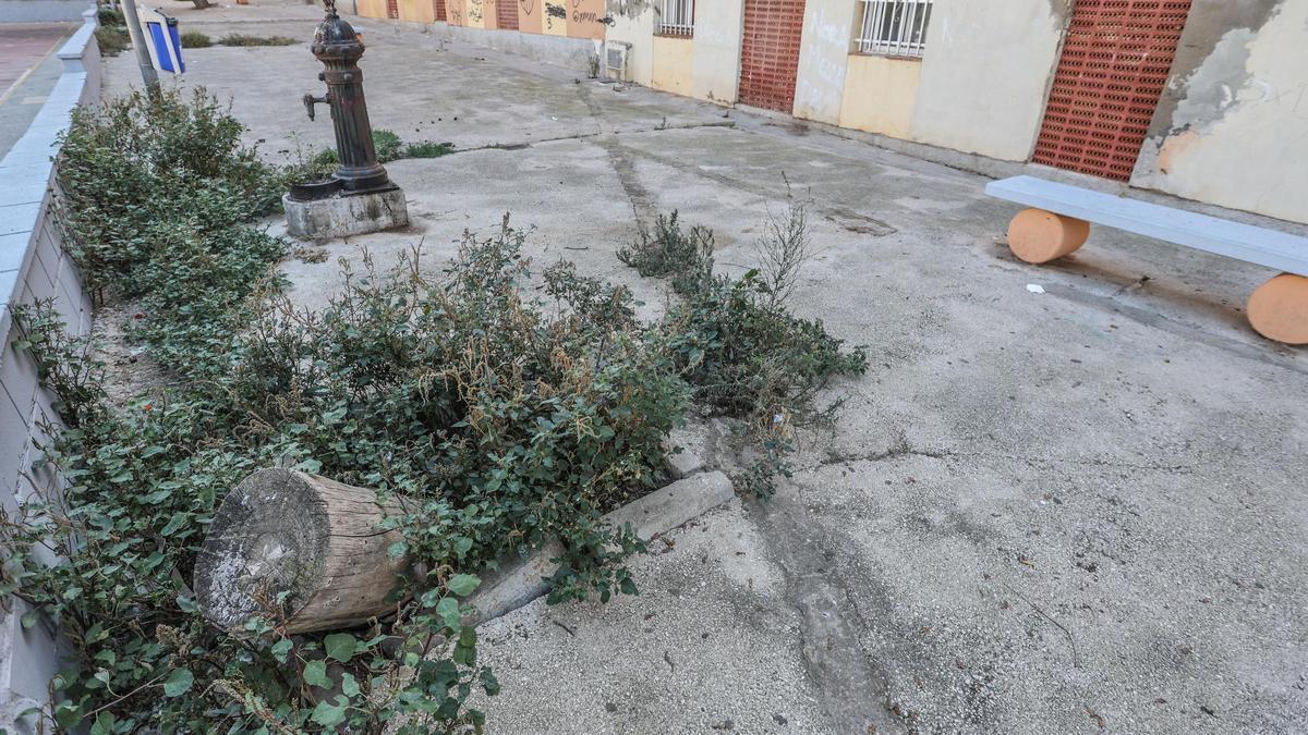 Aspecto de la zona pública junto a las viviendas en Torrevieja