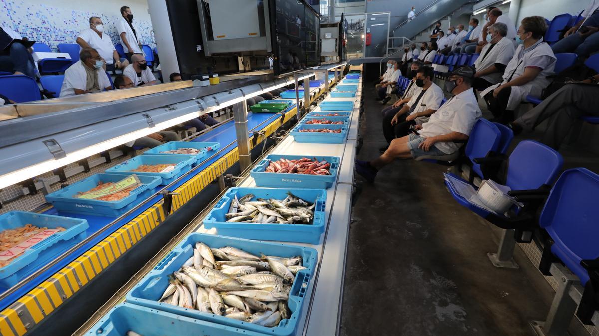 La subasta del pescado en la Lonja de Santa Pola