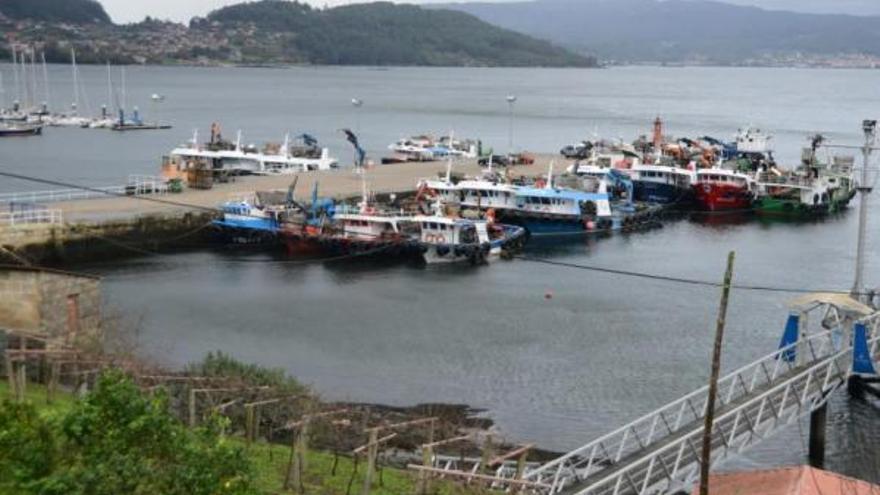 Los barcos mejilloneros, ayer, abarloados en varias hileras en su refugio del muelle de San Adrián, en Vilaboa. |  GONZALO NÚÑEZ